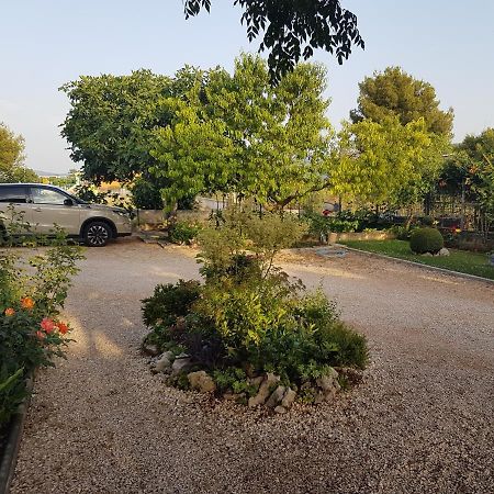 Gabi Rooms & Studio Apartment Lozovac Dış mekan fotoğraf